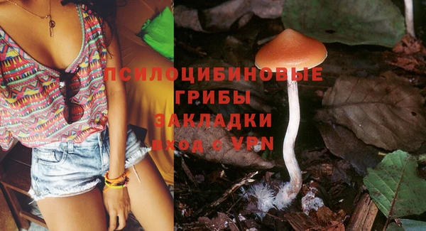 2c-b Лихославль