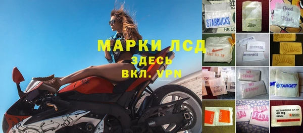 индика Долгопрудный