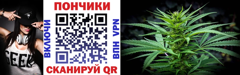Бошки марихуана VHQ  купить наркотики цена  Сортавала 